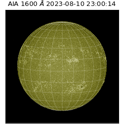saia - 2023-08-10T23:00:14.125000