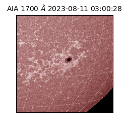 saia - 2023-08-11T03:00:28.448000