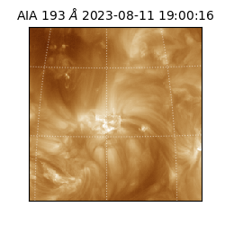 saia - 2023-08-11T19:00:16.842000