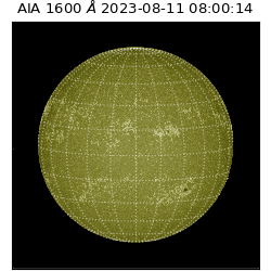 saia - 2023-08-11T08:00:14.130000