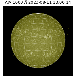 saia - 2023-08-11T13:00:14.125000