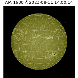 saia - 2023-08-11T14:00:14.126000