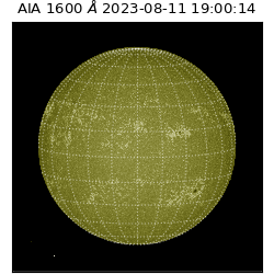 saia - 2023-08-11T19:00:14.126000