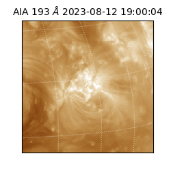 saia - 2023-08-12T19:00:04.843000