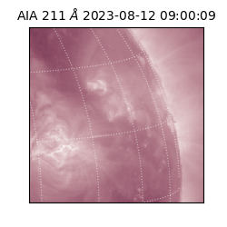 saia - 2023-08-12T09:00:09.626000