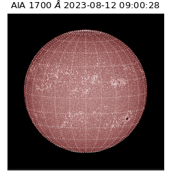saia - 2023-08-12T09:00:28.448000