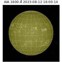 saia - 2023-08-12T16:00:14.131000
