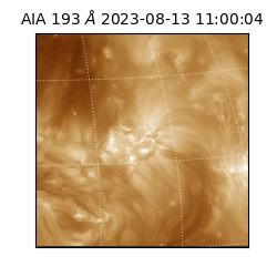 saia - 2023-08-13T11:00:04.843000
