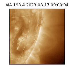 saia - 2023-08-17T09:00:04.843000