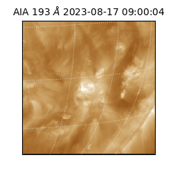 saia - 2023-08-17T09:00:04.843000