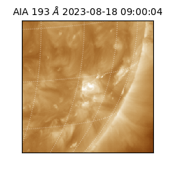 saia - 2023-08-18T09:00:04.843000