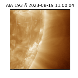 saia - 2023-08-19T11:00:04.843000