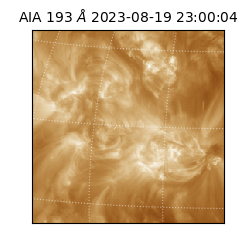 saia - 2023-08-19T23:00:04.843000