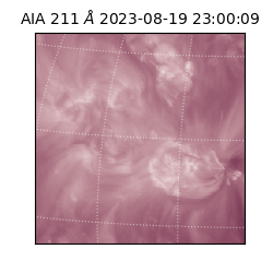 saia - 2023-08-19T23:00:09.629000