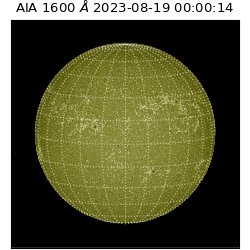 saia - 2023-08-19T00:00:14.125000
