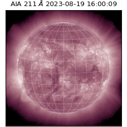 saia - 2023-08-19T16:00:09.622000