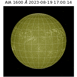 saia - 2023-08-19T17:00:14.126000