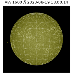 saia - 2023-08-19T18:00:14.125000