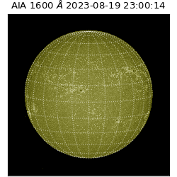 saia - 2023-08-19T23:00:14.126000