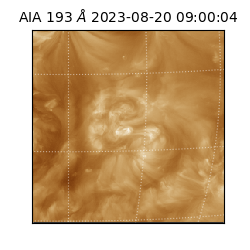 saia - 2023-08-20T09:00:04.843000