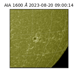 saia - 2023-08-20T09:00:14.125000