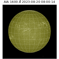 saia - 2023-08-20T08:00:14.131000