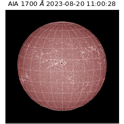 saia - 2023-08-20T11:00:28.451000