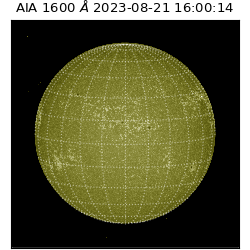 saia - 2023-08-21T16:00:14.132000