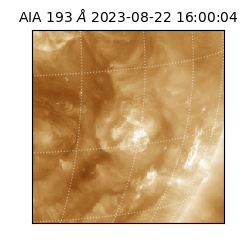 saia - 2023-08-22T16:00:04.843000