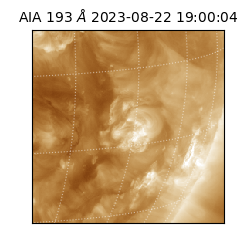 saia - 2023-08-22T19:00:04.843000