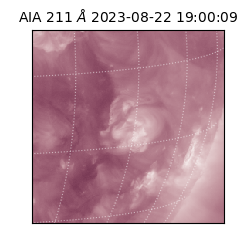 saia - 2023-08-22T19:00:09.632000