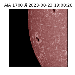 saia - 2023-08-23T19:00:28.450000