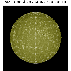 saia - 2023-08-23T06:00:14.125000