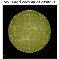 saia - 2023-08-23T23:00:14.129000