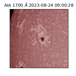 saia - 2023-08-24T09:00:28.447000