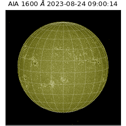 saia - 2023-08-24T09:00:14.126000