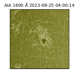 saia - 2023-08-25T04:00:14.126000