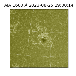 saia - 2023-08-25T19:00:14.126000