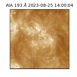 saia - 2023-08-25T14:00:04.847000