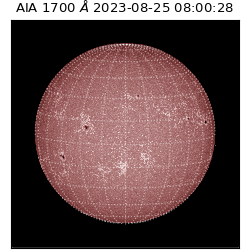 saia - 2023-08-25T08:00:28.449000