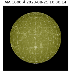 saia - 2023-08-25T10:00:14.125000