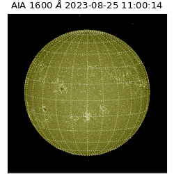 saia - 2023-08-25T11:00:14.125000