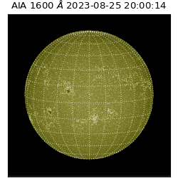 saia - 2023-08-25T20:00:14.125000
