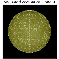 saia - 2023-08-28T11:00:14.129000