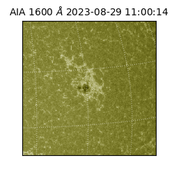 saia - 2023-08-29T11:00:14.126000
