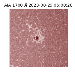 saia - 2023-08-29T06:00:28.451000