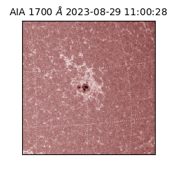 saia - 2023-08-29T11:00:28.452000