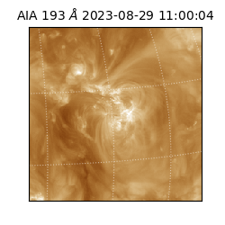 saia - 2023-08-29T11:00:04.843000