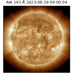 saia - 2023-08-29T09:00:04.843000