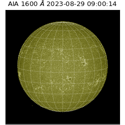 saia - 2023-08-29T09:00:14.126000
